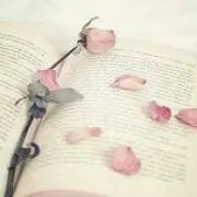 華の画像