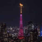 クロの画像