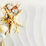 ラニカイの画像