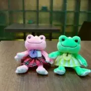 のりこさんの画像