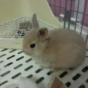 みな
