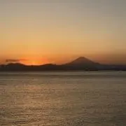 Zの画像