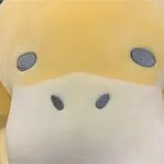 moriの画像