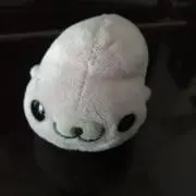 よこの画像
