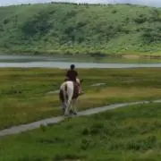 どんぐりの画像