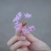 MONOSUP（モノサプ） ⭐︎すぐ発送