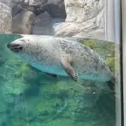 まさこの画像