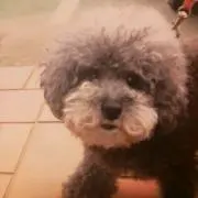 ルーシー