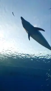 yuhitoの画像