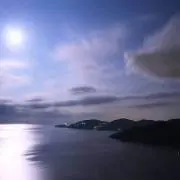 Sea☆の画像