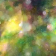 めがねの画像