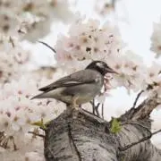 うに