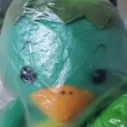 tsuci