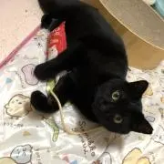 くろーす