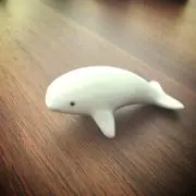 イルカの画像