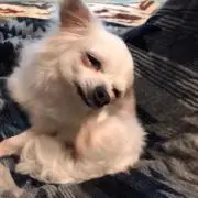 さち