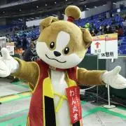 わっこ