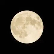 non@多数出品中‼️の画像