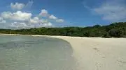 りんご☆発送は７月26日頃☆の画像