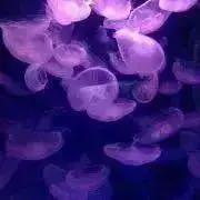 mel⭐︎引越前断捨離中の画像