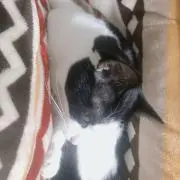 ちなの画像