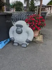 ずんの画像