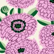 ミオミオの画像