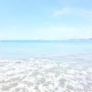 HANAの画像