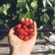 momolafの画像