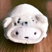 Image of クリリン
