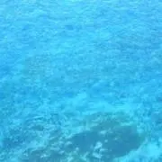AT