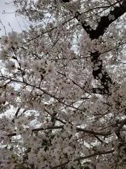 なちの画像