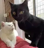 Haruの画像