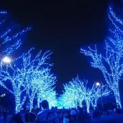 さく
