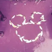 りんり