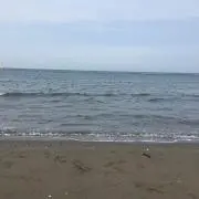かさい