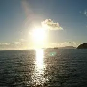 しろむね☀️即購入 OKです☀️の画像