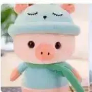 ほんみょの画像