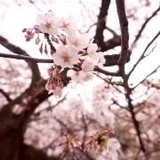 けいちゃん