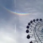 おはなの画像