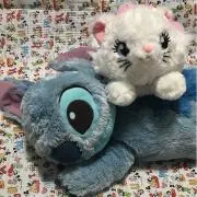 てぃっちーの画像