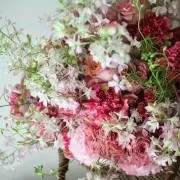 sakura**