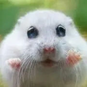 モグモグ