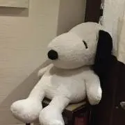 にどらんの画像