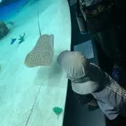 あいちゃんの画像