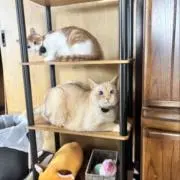 まーみ