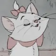 プーラの画像