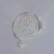 いずみの画像