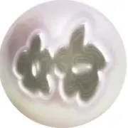 蕨の画像
