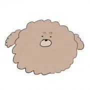 ふみ